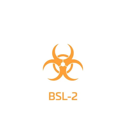 bsl - 2 - customers logo