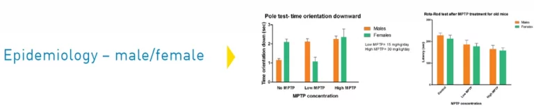 Longevity models - Research Outcomes example